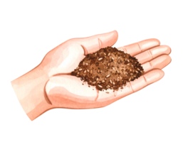 Hand holding a mix of seeds and scrub grains for skincare exfoliation and nourishment on isolated background png
