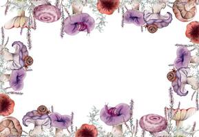Colorful floral frame with shells vector