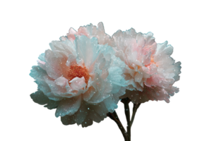 Surreal flower merges with stars creating a dreamlike cosmic display png