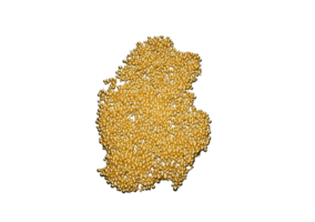 Qatar Map Made Of High Quality Premium Golden Shiny Metallic Beads Or Balls 3D Illustration png