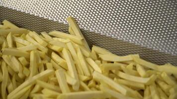 Modern food processing plant shows fries moving efficiently along belts. video