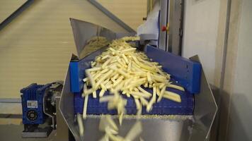 Factory footage of fries moving along fast conveyor lines for processing. video