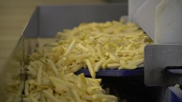 Clean conveyor belts transport fresh potato strips through the factory. video
