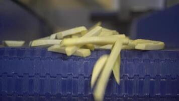 Conveyor belts carry sliced potatoes with precision in a food factory. video