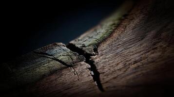 Detailed Close Up of Weathered Wood Texture with Deep Crack. photo
