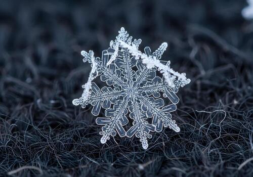 Macro Snowflake on Wool Surface in Sharp Detail photo