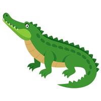 Reptile green alligator. Isolated illustration on white background. vector