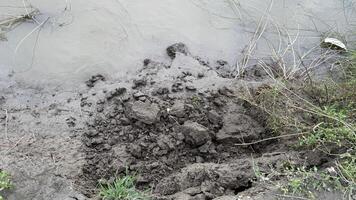 Gray water meets muddy ground near green vegetation in a natural land formation photo