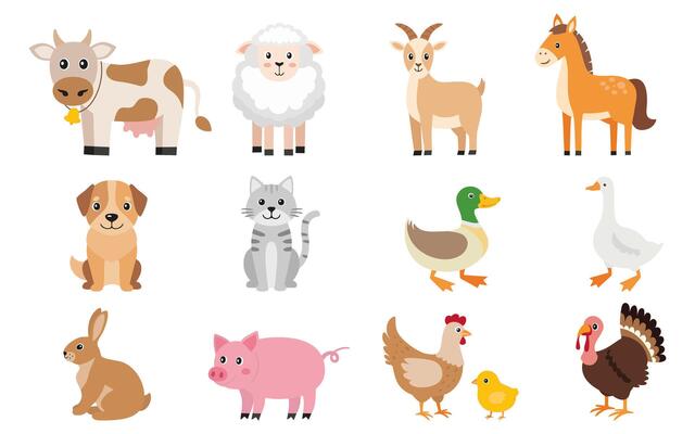 Icon set of domestic animals in cute simple kawaii style, illustration of farm animals, zoo isolated on white background.