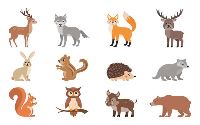 Icon set of woodland wild animals in cute simple kawaii style, zoo forest animals isolated on white background.