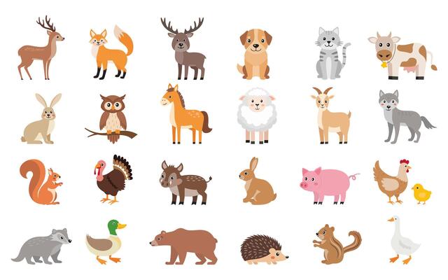 Icon set of woodland and domestic animals in cute simple kawaii style, illustration of wild and farm animals, zoo isolated on white background.