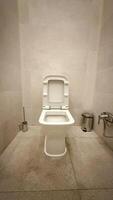Pristine porcelain toilet throne, quietly awaiting its morning ritual, perfect for World Plumbing Day and quirky bathroom art decor photo