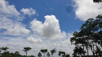 Blue Sky with Puffy Clouds Over Lush Green Trees photo