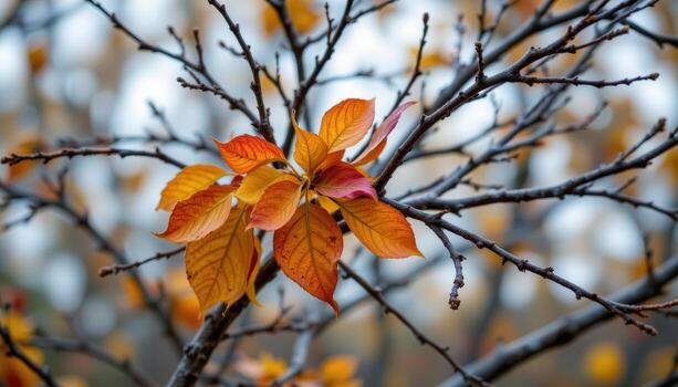 Vibrant Autumn Leaves on Branches with Soft Background in a Natural Setting photo