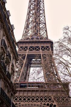 Eiffel Tower Close-Up with Parisian Architecture and Winter Trees photo