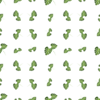 seamless pattern with leaves png