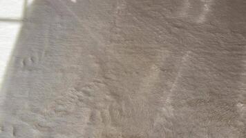 Home Hygiene Vacuum Cleaner Deep Cleaning a White Carpet video
