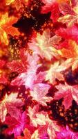 Animation of colorful falling maple leaves. Conveys the atmosphere of autumn nature. video