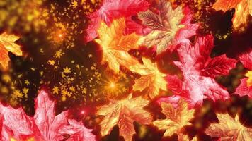 Autumn animation of bright falling maple leaves. Conveys the atmosphere of autumn nature. video