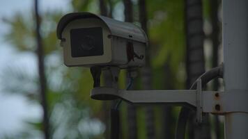 Surveillance Camera Operating in a Natural Setting for Enhanced Security and Monitoring video