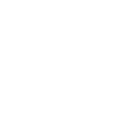 Korean Traditional Flower Pattern png
