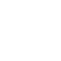 Korean Heritage Floral Motif png