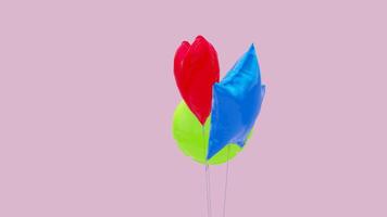 A colorful kite with three different colors video