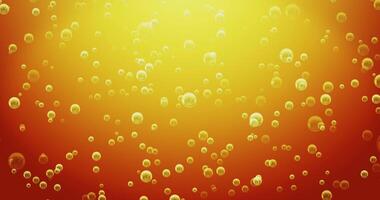 Fresh Bubbles Beer, Loop video