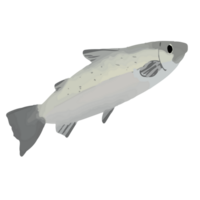 cartoon fish illustration png