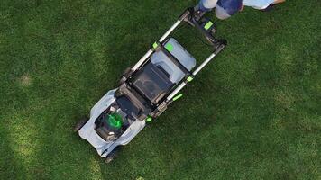 Lawn Care Tips for Maintaining a Healthy Green Yard Every Season video