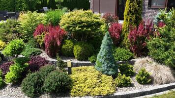 Explore a Vibrant and Well-Maintained Garden With Lush Plants and Colorful Shrubs video