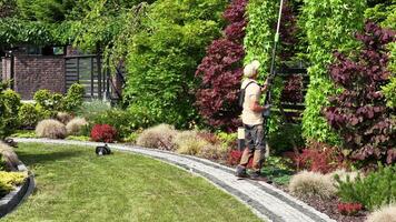 Gardener Trims Lush Greenery in Vibrant Backyard Landscape During a Sunny Day video