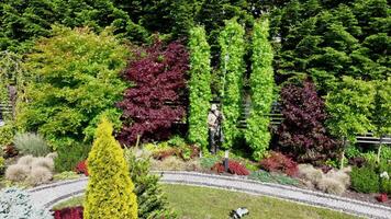 Explore a Vibrant Garden Showcasing Colorful Plants and Trees in an Outdoor Landscape video