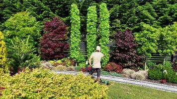 Gardener Tending to Lush Plants in Vibrant Outdoor Landscape video