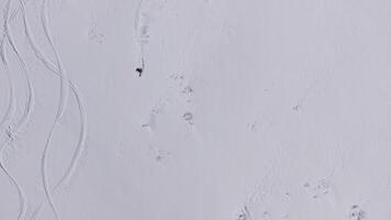 Snowboarders and skiers riding down a snowy mountain slope video