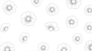 White and Black color simple and classy rotating floral design loop able floral background video