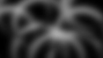 Preto e branco borrado circular padronizar video