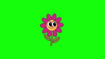 tekenfilm bloem animatie Aan groen scherm achtergrond video