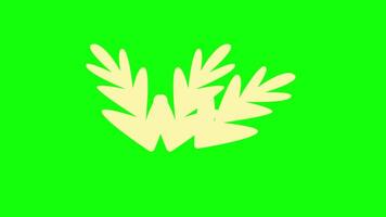 seaweed animation on green screen background video