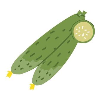 Fresh green cucumbers with sliced end on white background vector