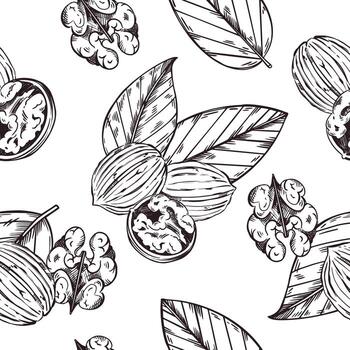 sin costura modelo de nuez, nuez hojas, pelado nuez. todas objetos son dibujado a mano con tinta. ilustración adecuado para impresión en envase papel, producto embalaje vector