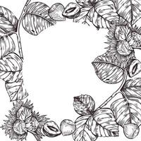 avellana, avellana, avellana, árbol hoja y división nuez marco. todas objetos son dibujado a mano con tinta. el ilustración es adecuado para impresión en el embalaje de bienes, productos cosméticos, cocina vector