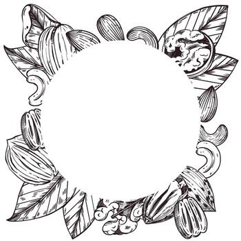round frame of cashew nuts, almonds, walnuts, pecans, leaves. All objects are hand-drawn with ink. The illustration is suitable for printing on fabric, paper, tableware and kitchen textiles vector