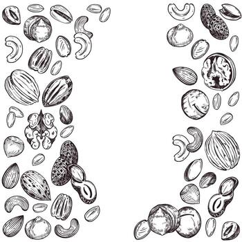 frame of nuts, walnuts, cashews, pecans, macadamias, hazelnuts, peanuts, whole nuts and nut halves. All objects are hand-drawn with ink. For printing on packaging, fabric, tableware vector