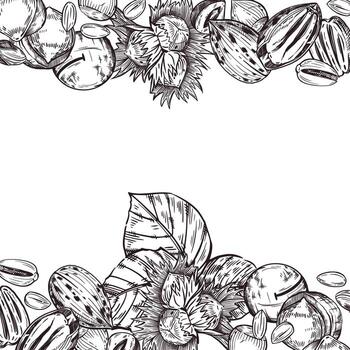 frame of macadamia nuts, pecans, hazelnuts, hazelnuts, peanuts, pistachios and tree leaves. All objects are hand-drawn with ink. For printing on fabric, packaging products, cosmetics, printing vector