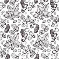 sin costura modelo de nueces, pistachos, nueces, miseria, avellanas, árbol hojas. todas objetos son dibujado a mano con tinta. el ilustración es adecuado para impresión en producto embalaje, decoración vector