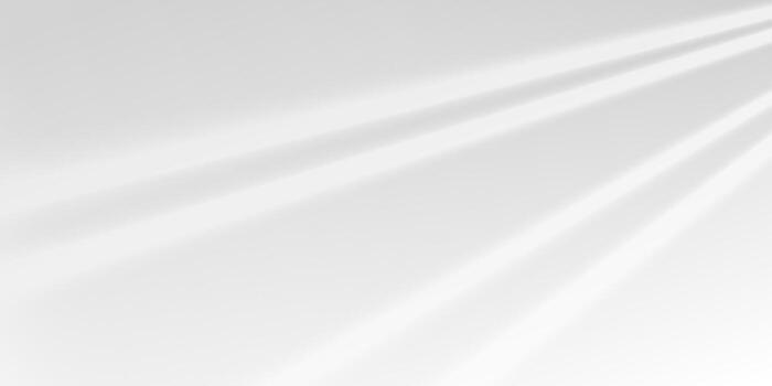 Soft window shadows and natural sunlight fall on white studio wall. Abstract overlay with summer mood. Minimal indoor backdrop with natural blur effect. vector