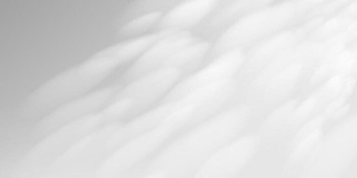 Sunlight shines through sheer curtain onto blank studio wall. Tree shadows create tropical ambiance. Ideal background for wellness branding or soft spring and summer mockups. vector