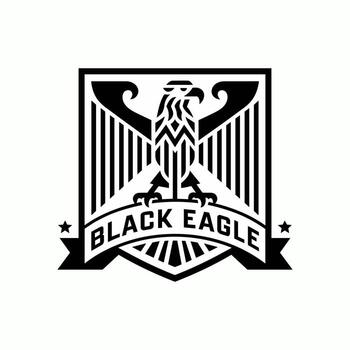 Black Eagle Emblem with Geometric Patterns and Stars, within a Rectangle Frame vector