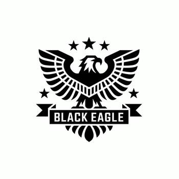 A Dynamic Black Eagle Emblem with Geometric Patterns and Stars, within a Rectangle Frame, on a White Background vector